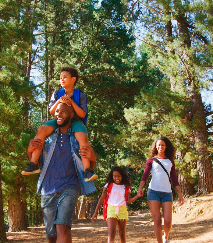 AdobeStock_1340871957 1