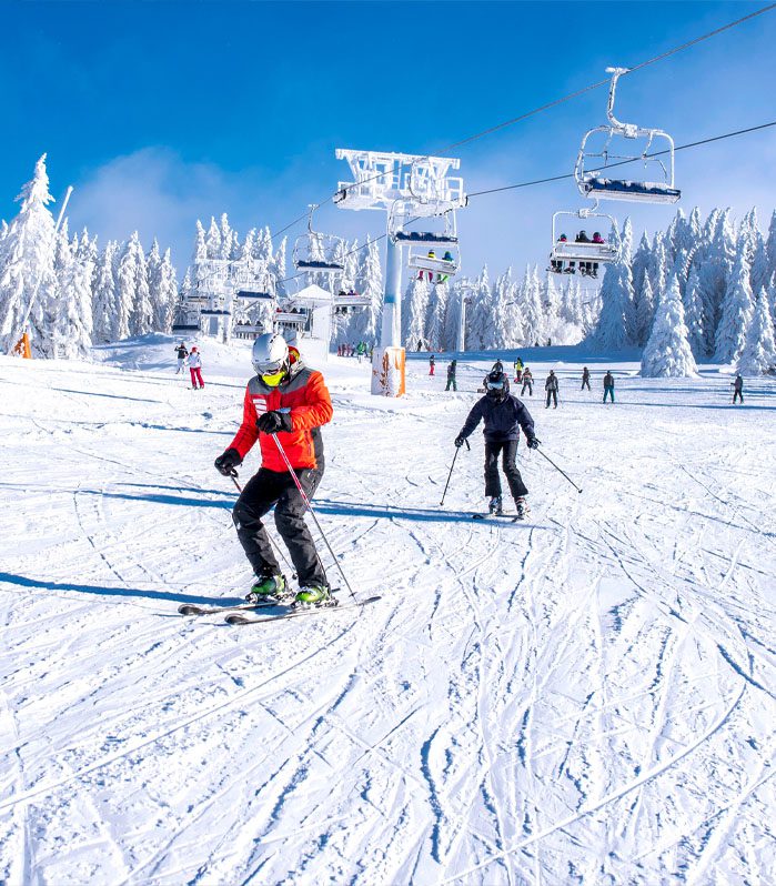 AdobeStock_314907087 1