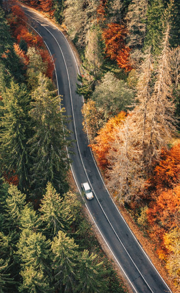 Fall Img 1