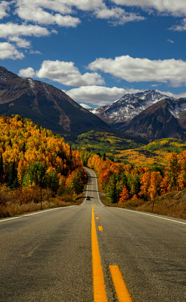 Fall Img 2