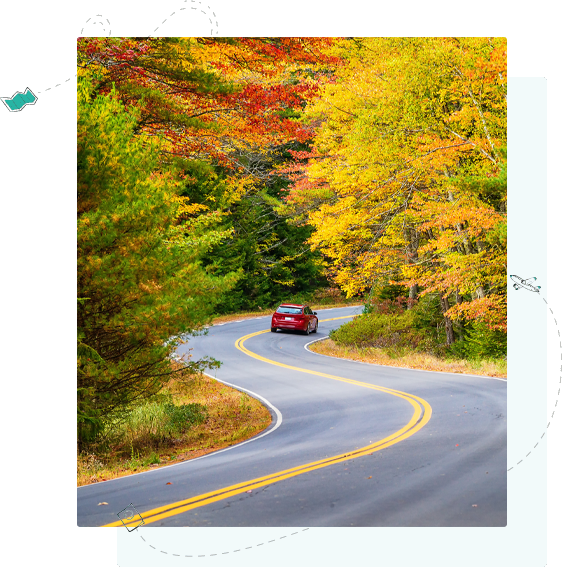 fall-img-3.png